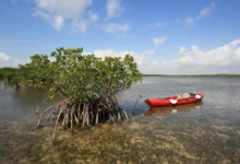 This Florida National Park Is 95% Water
