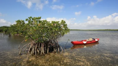 This Florida National Park Is 95% Water