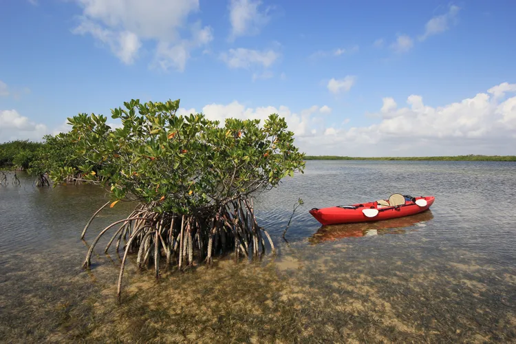 This Florida National Park Is 95% Water